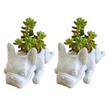 2 STÜCKE Französische Bulldogge Form Harz Pflanzer Mini Welpen Pflanzen Pflanzer, Desktop Blumentopf Hund Bonsai