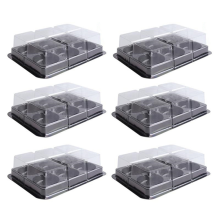100 Stück 6 Hohlräume Kunststoff Mooncake Tray Transparent Muffin Cupcake Mochi Container Cookie Träger Lebensmittelverpackungsbox