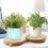Support de pot de fleurs rond en bois pour intérieur et extérieur 2