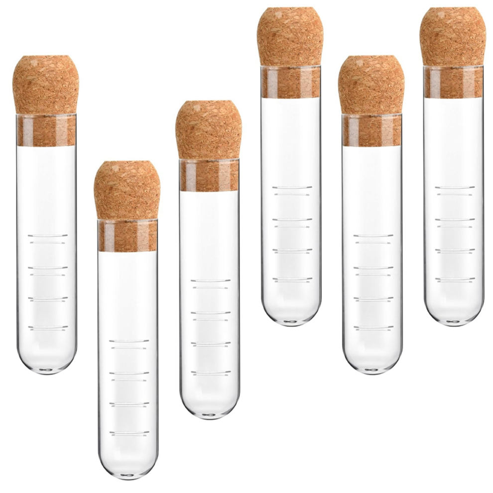 6 Pcs Glass Tea Infuser, Strainers With Cork Lid, Reusable Diffuser For Tea,Clear Strainer Cups,Mugs 4852872825573