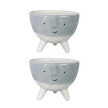 Lot de 2 pots de fleurs, Face Parfait pour les plantes d'intérieur et d'extérieur, Pots String