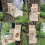 Squirrel Feeding Box Food Container Wooden Pet Storage Tools Bird Feeder 3