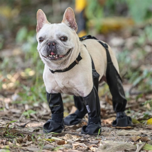 Dog Shoes Waterproof Dirtyproof DogPaw Protectors with Suspenders Non-Slip Rain Booties for Winter Snow Outdoor,M