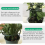 10 Pack Plant Support Stakes, Plastic Half Round Ring Cage Holder Flower Pot Climbing 7