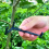 Branch Spreaders Plant Stem Traine Fruit Tree Puller Tying Machine Farm Tools New Open Angle Pull 2