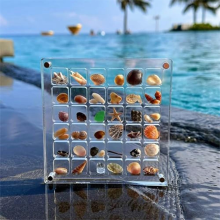 2 Stück Acryl Magnetics Muschel Display Box Diamant Edelstein Perlen Aufbewahrung Organizer Gitter Klares Acryl, C