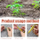 6PC Mini Seed Spreader Set,Mini Planter Tool,Seed Dispenser Manual Seedlings Dibber and Widger,Seed Sower 3