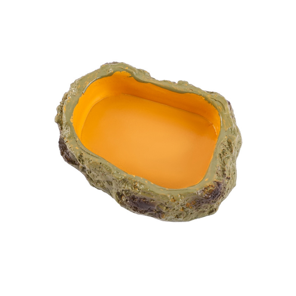 Reptile Feeding Bowls Terrarium Plate Feeder Amphibian Bowl for Frog Tortoise Bearded Dragon Turtle,XS