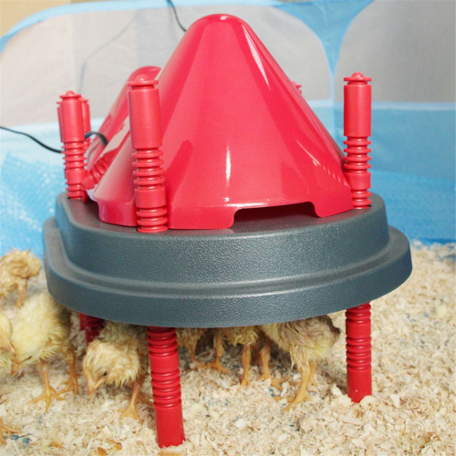 Brooder Heater for Chicks with Anti Roost Cone, Chick Heating Plate Adjustable Heights 1