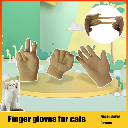Jouet pour chat extensible, mini, gants pour chats, lot de 3 2