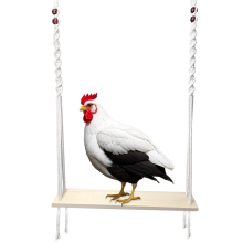 Altalena giocattolo per polli per pollai di grandi dimensioni, arricchimento per galline e galli, accessori per pollai in legno