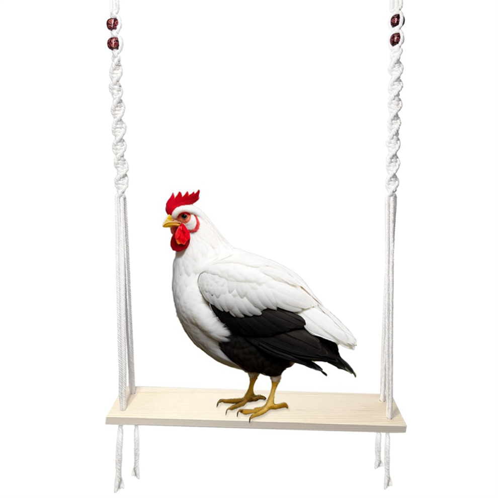 Chicken Swing Toy For Large Coop, Enrichment Hens And Roosters, Wooden Coop Accessories Exogio