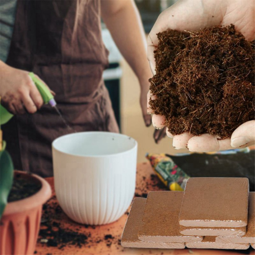 1 granulé de fibre de coco pour plantes nutritives, base compressée 2