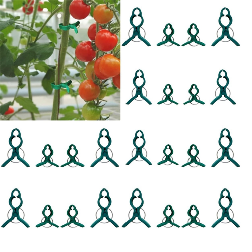 Fixed Plastic Plant Clips, Support Clips for Climbing Plants, Vine Garden Vines 1
