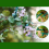 Fixed Plastic Plant Clips, Support Clips for Climbing Plants, Vine Garden Vines 4
