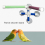Suction Cup Pet Bird Parrot Bath Shower Stand Platform Pole Double Stick Claw Sharpening Fun Perch 5