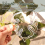 1Pcs Plant Stem Plastic Support,Flower Holder,Reusable Retaining Support,B 3
