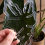 1Pcs Plant Stem Plastic Support,Flower Holder,Reusable Retaining Support,B 5