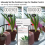 WiFi Tuya Smart Watering Machine Automatic Micro-Drip Irrigation System Plants Controller for 7