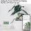 WiFi Tuya Smart Watering Machine Automatic Micro-Drip Irrigation System Plants Controller for 4