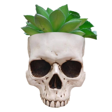 Décoration de jardin extérieur Halloween Crâne Pot de fleurs Gothique Maison Blanc