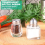 Mini saliera e pepiera Clear Seasonings Tiny Spice Trasparente Condimento Argento 6