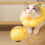 Sunflower Pet Collar Cat Licking-Proof, Biting-Proof and Scratching-Proof Protective L 5