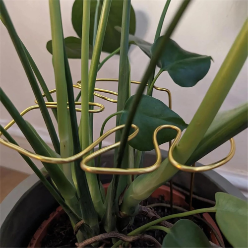 Supporto per piante a forma di Monstera, riutilizzabile, robusto supporto in lega per contenere erbe aromatiche e verdure D 1