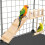 Cage à perroquet Hamac Balançoire Jouet pour calopsitte Support en bois Branches Oiseau 7