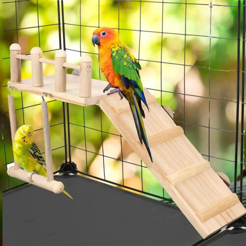 Cage à perroquet Hamac Balançoire Jouet pour calopsitte Support en bois Branches Oiseau 1