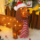 Christmas Lights Dachshund Shiny Decorations Holiday 6