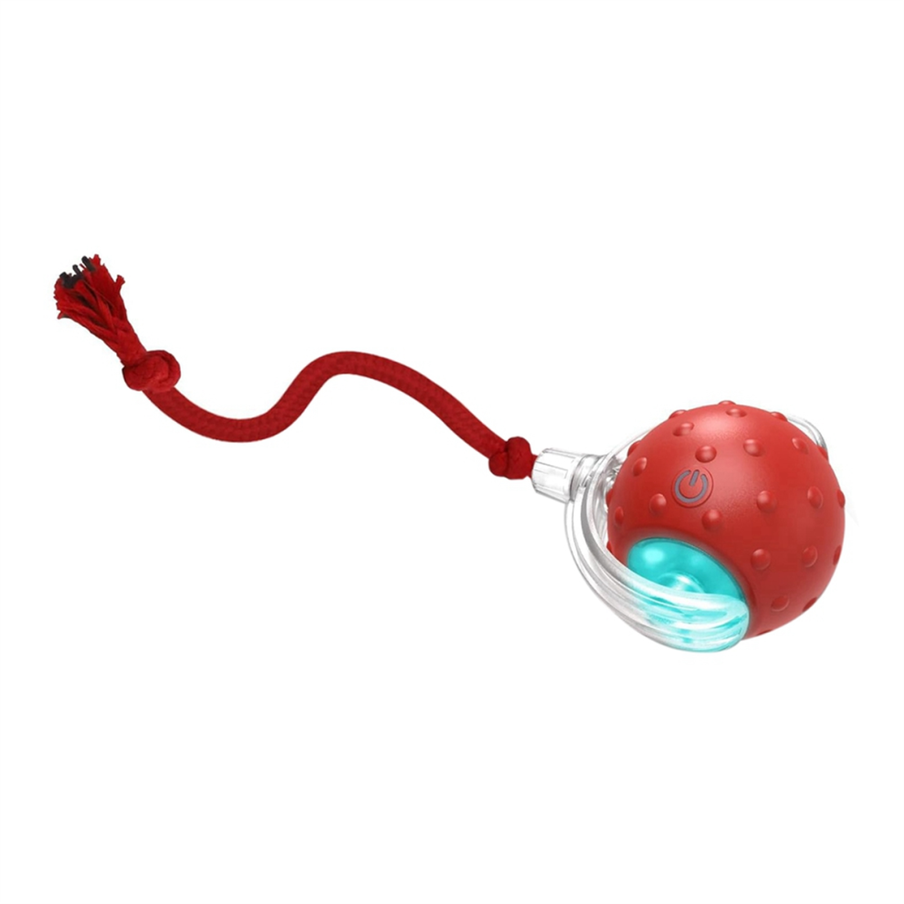 Exogio Interactive Cat Toys Ball For Indoor Cats Fast Rolling On Carpet, Chirping & Motion Activate