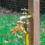 Messing-Gartenschlauchverteiler (2-Wege), solides Y, 2 Ventile 6