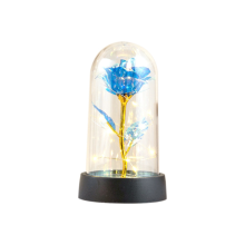 Valentines Day Rose Gift for Her - Galaxy Butterfly in Glass Dome with LED Blue