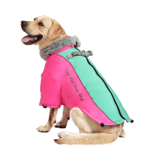 Big Fur Collar Pet Down Jacket for Medium Large Dogs Waterproof Dog Clothes Winter Golden Retriever Coats Clothing B