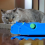2Pcs Cardboard Cutting Machine Cat Scratching Board Cutter DIY Recycling 4