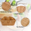 12 Pack Plastic Oval Basket, Empty Bread Basket Food Storage Bulk,Plastic Wicker Baskets Bin for Kitchen Serving 5