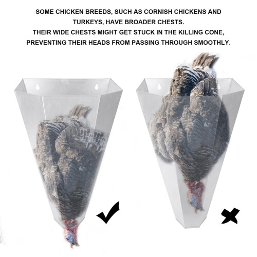2 Chicken Restraining Cone for Poultry,Suitable Layers,,Roasters,and Turkeys-Flat-BackDesign, Easy to Clean 2