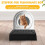Cat Litter Box Ramp with Filter Function, Double Layered Self-Cleaning Trapper Storage Black 4