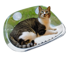 Cat Bed Suction Cup Hanging Swing Removable Windowsill Glass Pet Supplies Transparent-White