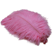 20-25cm Straußenfedern Bühnenauftritte Handgemachte DIY Schmuck Dekorationen Rosa