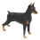 Black Doberman Model Toys Cute Simulation Animal 9