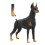 Black Doberman Model Toys Cute Simulation Animal 4