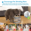 6 Pack Cat Water Fountain Filter, Diameter 4.1 Inch Filter Apply to Automatic Pet Replacement 6