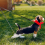 Dog Urine Collector Collection Pack, Include Telescopic Sample Catcher, Cups, Pipettes 5