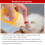 Biberons pour chiots, biberon pour chatons, jaune 80 ml, en silicone 4