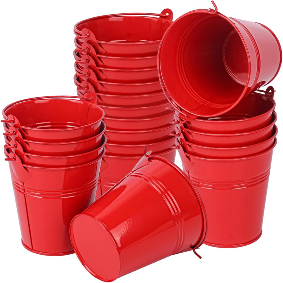 Exogio 20 Pack Red Small Metal Buckets With Handle, Mini Tin Bucket,For Halloween Candy, Party Favors, Garden, Succulents