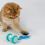 Rechargeable Cat Toys Automatic Obstacle Avoidance Interactive for Intelligent Design Accessories Blue 3