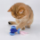 Rechargeable Cat Toys Automatic Obstacle Avoidance Interactive for Intelligent Design Accessories Yellow 6