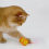 Rechargeable Cat Toys Automatic Obstacle Avoidance Interactive for Intelligent Design Accessories Yellow 4